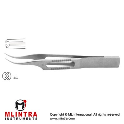 Hoskins Tissue Forcep Curved - 1 x1 Teeth Stainless Steel, 8 cm - 3 1/4"
